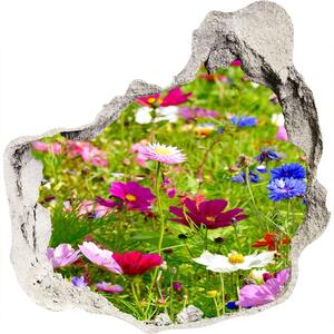Autocolant gaură 3D flori de câmp