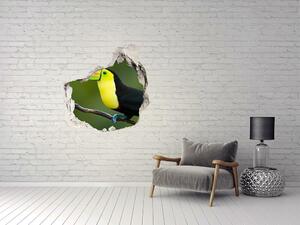 Autocolant de perete gaură 3D Toucan