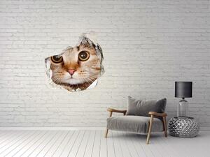 Fototapet 3D gaură în perete Pisică
