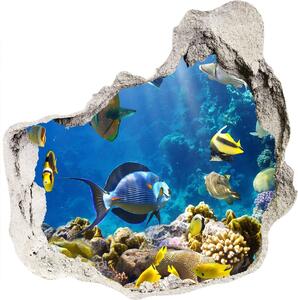 Autocolant autoadeziv gaură recif de corali