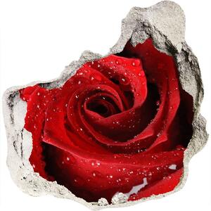 Fototapet 3D gaură în perete Picaturi pe un trandafir