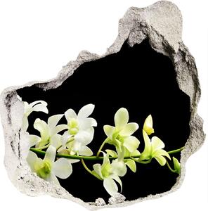 Fototapet 3D gaură în perete Orhidee