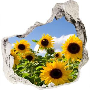 Fototapet 3D gaură în perete Floarea soarelui