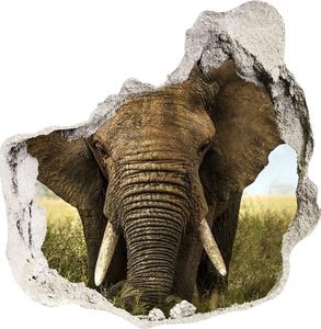Autocolant un zid spart cu priveliște Elephant pe savana