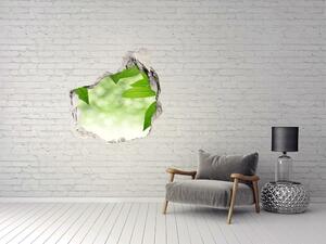Fototapet 3D gaură în perete Frunze verzi