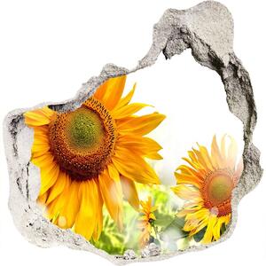 Fototapet 3D gaură în perete Floarea soarelui