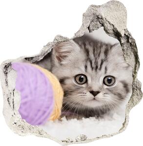 Fototapet 3D gaură în perete Cat cu motkami