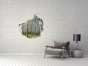 Autocolant 3D gaura cu priveliște pădurea de mesteacăn