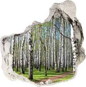 Autocolant 3D gaura cu priveliște pădurea de mesteacăn