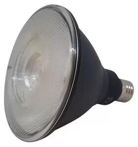 Bec LED 15W (1300lm) 30° Par38 Cool Flood - Flos