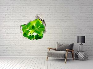 Autocolant gaură 3D Frunze verzi