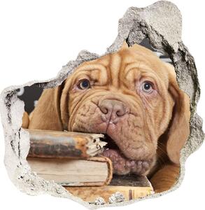 Fototapet un zid spart cu priveliște Câine musca o carte