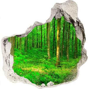 Autocolant 3D gaura cu priveliște Copaci în pădure