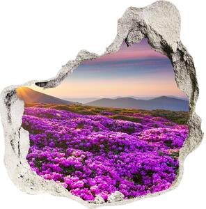 Autocolant gaură 3D Flori în munți