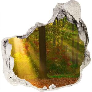Autocolant 3D gaura cu priveliște Pădurea în soare