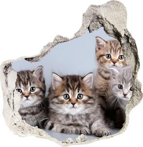 Autocolant gaură 3D cinci pisici