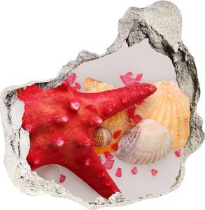 Autocolant 3D gaura cu priveliște Starfish și scoici