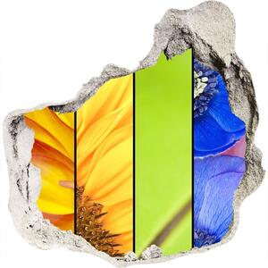 Autocolant gaură 3D flori colorate