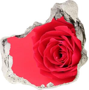 Fototapet un zid spart cu priveliște Trandafir roșu