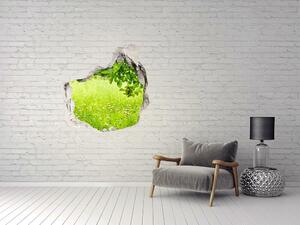 Fototapet 3D gaură în perete pajiște verde