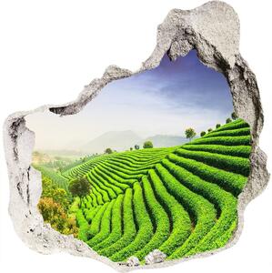 Autocolant un zid spart cu priveliște plantație de ceai