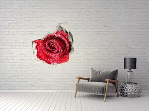 Fototapet 3D gaură în perete Picături de apă pe un trandafir