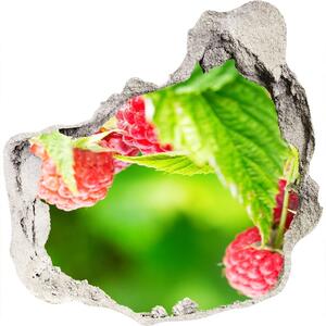 Autocolant 3D gaura cu priveliște Zmeură în grădină