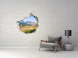 Autocolant 3D gaura cu priveliște Cabanelor în munți