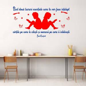Sticker perete Doua lucruri te vor face intelept