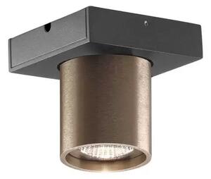 Focus Mini 1 LED Plafonieră 2700K Rose Gold - LIGHT-POINT