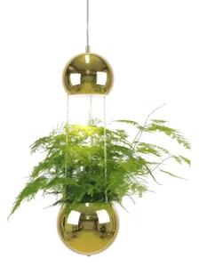 Mini Planter Lustră Pendul Brass - Globen Lighting