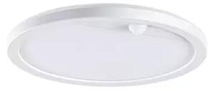 Lamina Aplică de Perete/Plafonieră de Exterior w/Sensor Round SWR Alb - Paulma