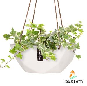 Blumfeldt Laren, ghiveci suspendat, Ø 28 cm, Polystone, cu frânghii naturale, set de 2 bucăți