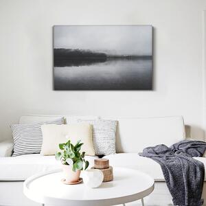 Tablou canvas : Lac alb-negru