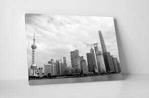 Tablou canvas : Pudong skyline alb-negru