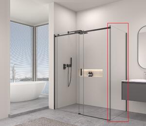 Erga Lynn, perete solid pentru duș 70x195 cm, sticlă transparentă de 8 mm, profil negru, ERG-V02-LYNN-G070-CL-BK