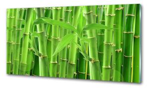 Panou sticla securizata bucatarie bambusul