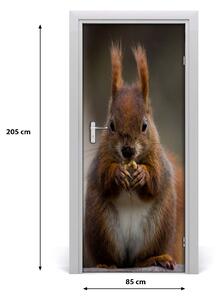 Autocolante pentru usi perete Squirrel