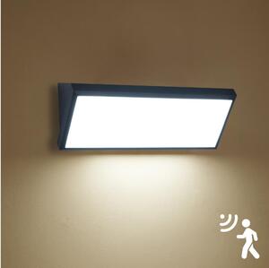 Brilagi - Aplică LED de perete pentru exterior cu senzor, TRIANGLE, 42W, 230V, negru, IP65