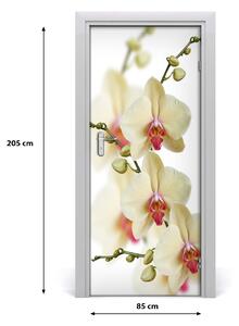 Autocolante pentru usi orhidee perete