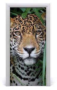 Autocolante pentru usi ușă autoadeziv Jaguar în Amazon