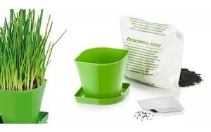 Tescoma Herb Growing Set SENSE, arpagic