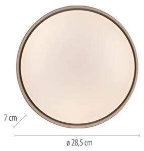 Schöner Wohnen 14593-39 - Plafonieră LED dimmabilă TAVOLI LED/10W/230V gri + telecomandă