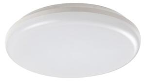 Rabalux 7979 - Plafonieră LED exterior ERIC LED/24W/230V IP64