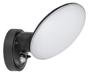 Rabalux 8135 - Aplica LED exterior cu senzor VARNA LED/12W/230V IP54