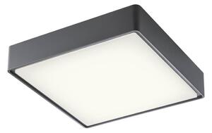 Redo 90158 - Plafonieră LED exterior MARINA 1xLED/16W/230V IP65