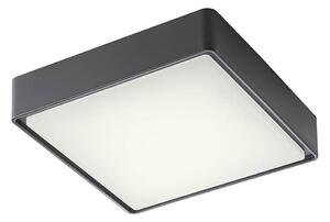 Redo 90157 - Plafonieră LED exterior MARINA 1xLED/12W/230V IP65