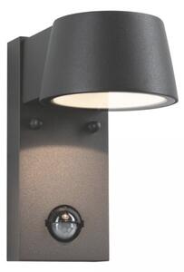 Aplică de exterior cu senzor Paulmann 94453 LED/6W IP44 CAPEA 230V