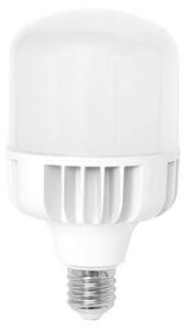 Bec LED E40/50W/230V - Ecolite