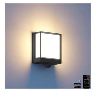 Aplică LED de exterior cu senzor Steinel 085247 L40SC LED/12,9W/230V